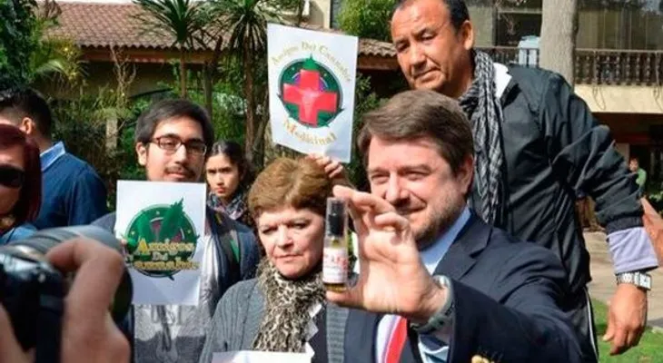 Alcaldía chilena plantará marihuana medicinal
