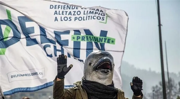 Un delfín se lanza a la presidencia de Chile