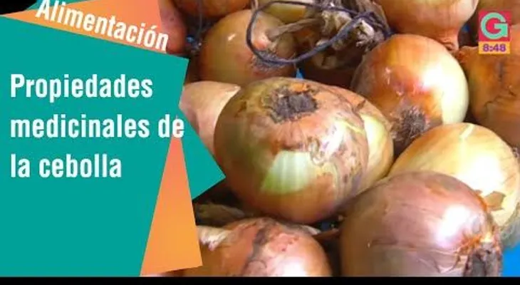 Las propiedades medicinales de la cebolla 