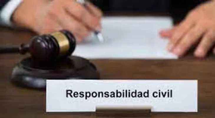 La Responsabilidad Civil 