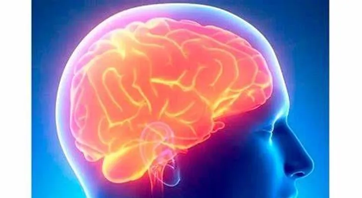 OMS lanza estrategia contra la meningitis para salvar más de 200 mil vidas al año