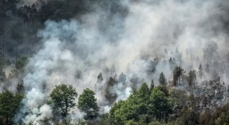 Miles de personas en alerta de evacuación en Canadá por incendios forestales