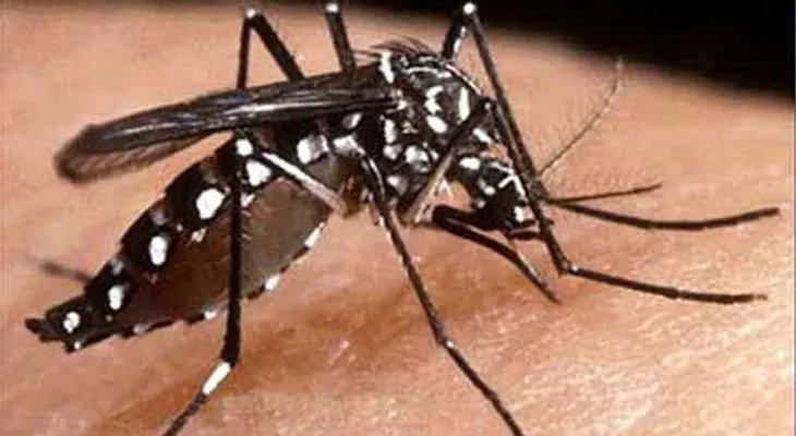Menor muere afectado de dengue
