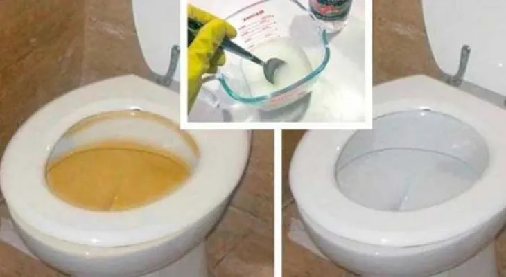 Limpia tu inodoro y tu baño con estos productos caseros que lo dejarán nuevo