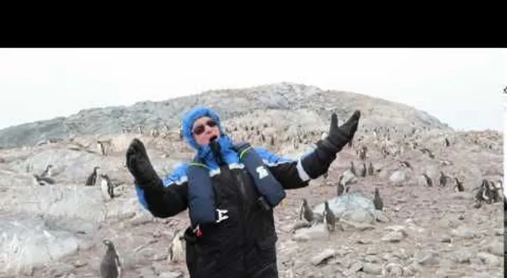 Unos pingüinos huyen despavoridos al escuchar a un cantante de ópera