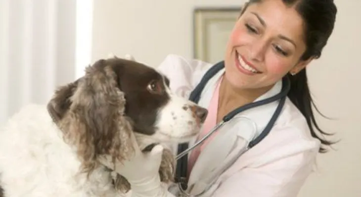 En Londrés usarán perros para detectar el cáncer