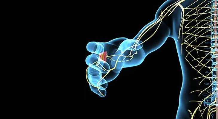 Científicos patentan un tubo-guía para regenerar nervios periféricos