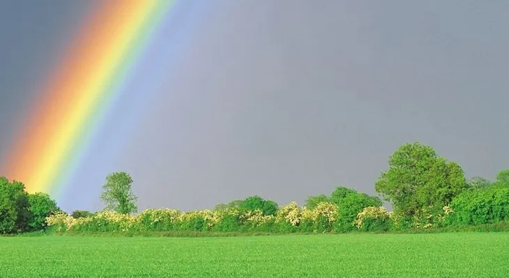 El amor color de un arcoíris