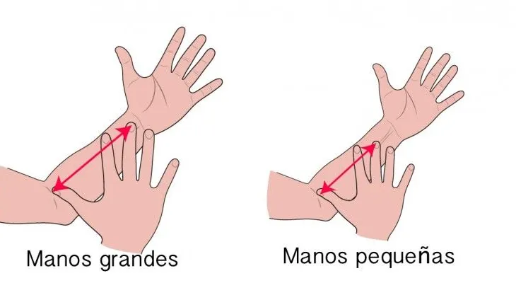 Chequea si tu manos son pequeñas, grandes, cuadrada o rectangular y descubre tu PERSONALIDAD