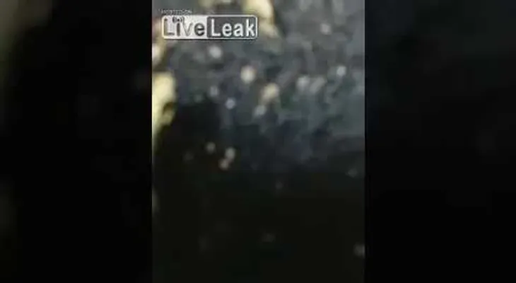 La Policía de Brasil tirotea a cuatro jóvenes mientras transmitían en vivo por Facebook