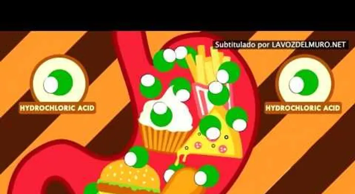 Cuando comes demasiado y te sientes mal (Video)