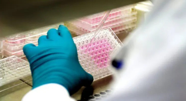  Un importante análisis genético arroja luz sobre el origen del virus de la hepatitis B 