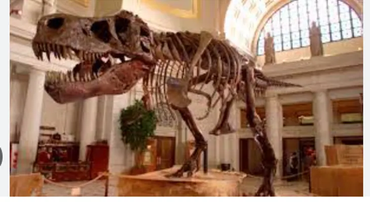 Rey de los dinosaurios crecía hasta los 40 años