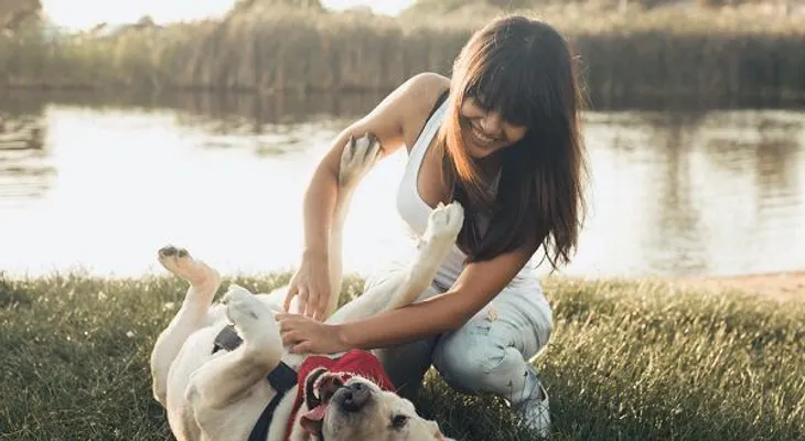 Acariciar a tu perro puede bajar la presión arterial y aliviar el dolor