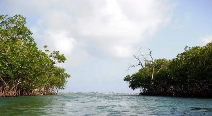 Autoridades prohíben acudir a La Matica, en Boca Chica 
