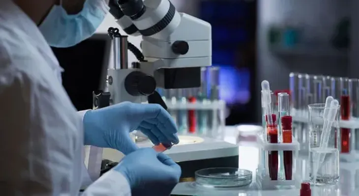Sudáfrica detecta una nueva variante del coronavirus con múltiples mutaciones
