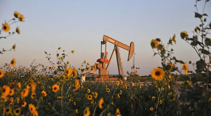 Una empresa colombiana inventa método para limpiar de petróleo las zonas afectadas por vertidos