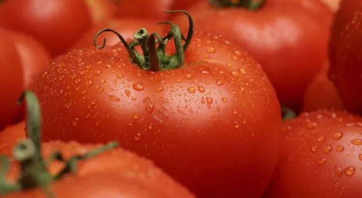 9 alimentos no puede meter en la nevera