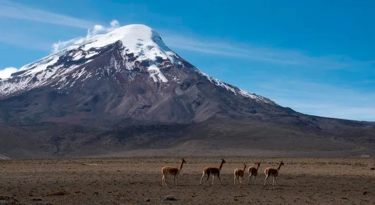 Un dibujo de hace 210 años demuestra el cambio climático