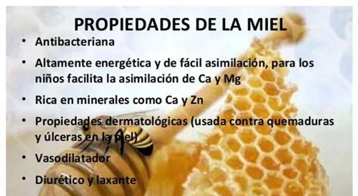 La miel cura muchas enfermedades, pero no sirve para todo lo que creemos: mitos y verdades