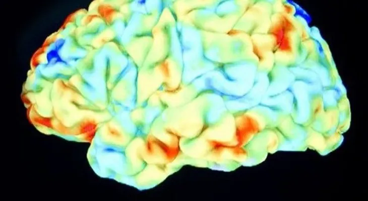 El amor modifica el cerebro, según estudio