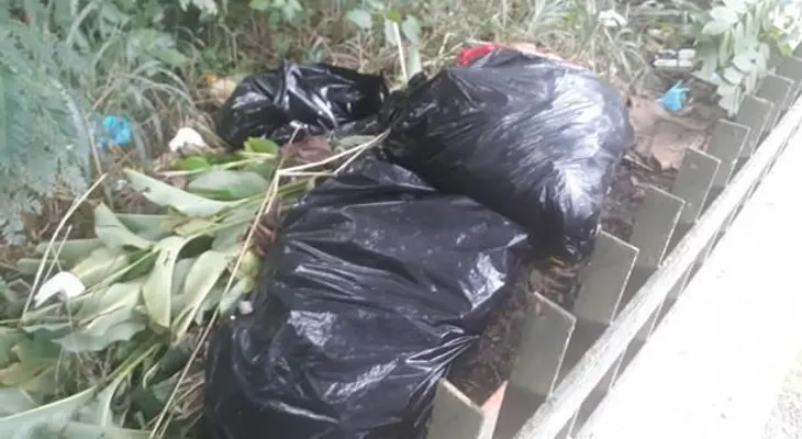 Comisión indagará  hallazgo de 7 piernas en el Mirador Norte