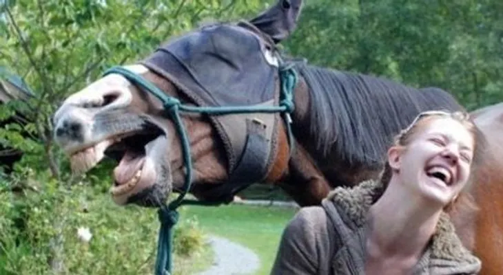 Los caballos y los humanos comparten expresiones faciales muy similares