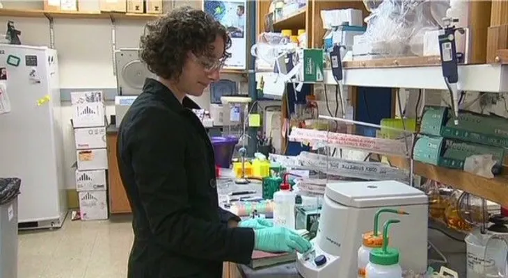 Esta semana inician ensayos de vacuna contra el ébola en humanos