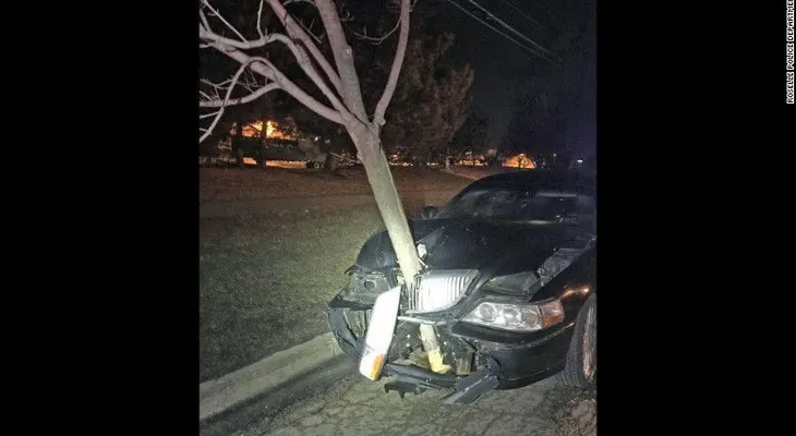 Una persona condujo un auto con un árbol de 4 metros incrustado en el capó