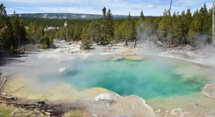 Un hombre cayó en un géiser en el parque Yellowstone