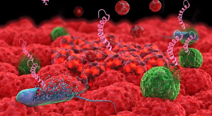  Nanopartículas podrían combatir bacterias resistentes a los antibióticos 