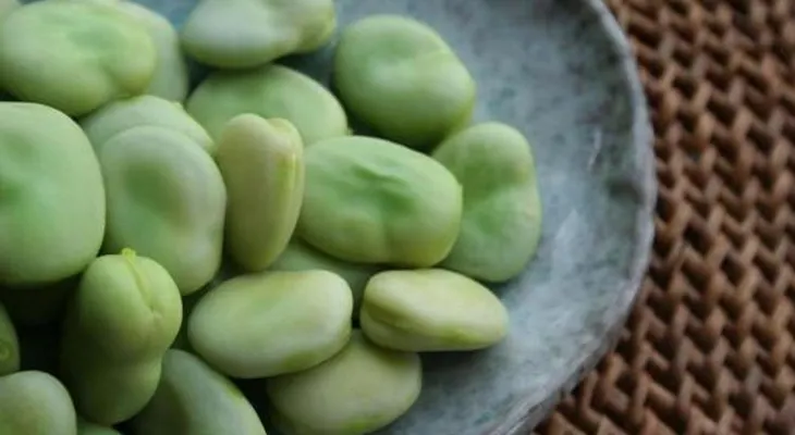 Científicos mexicanos elaboran bebida parecida a la leche que baja colesterol y glucosa