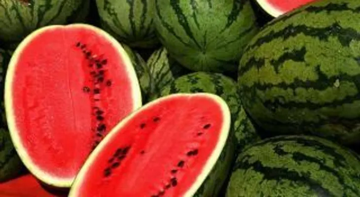 Las sandías irrigan sangre al pene durante la erección