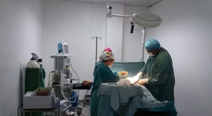 Hospital Vinicio Calventi realiza primer operativo de cirugías ginecológicas gratuito