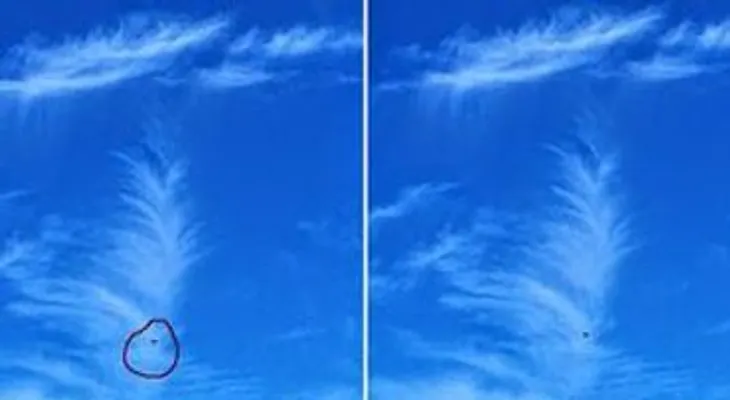 Clara imagen aparecida en La Vega, RD, un Domingo de Ramos, generó un mar de comentarios. ¿Cuál pudo ser el mensaje?
