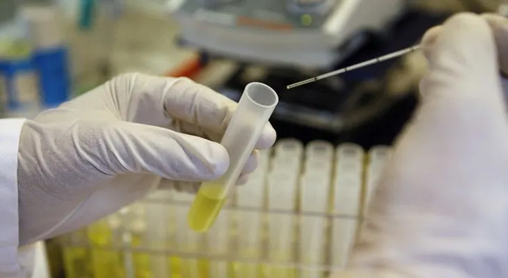 Países Bajos permitirá el cultivo de embriones humanos