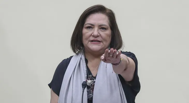 Guadalupe Taddei renuncia a la presidencia del INE de México
