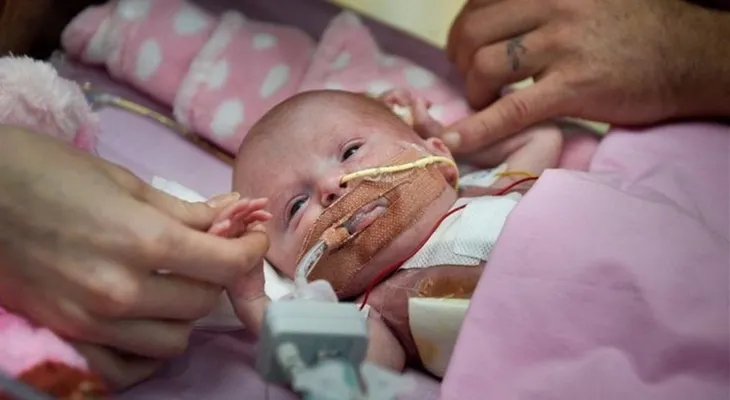 Exposición pre y posnatal a sustancias químicas agrava función respiratoria