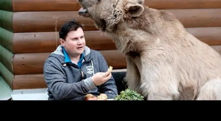 La increíble de Stepan, un oso que riega las flores y ve la televisión en Rusia