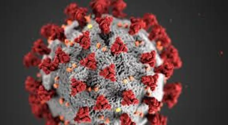 La OMS descarta que el coronavirus pueda contagiarse a través de la comida