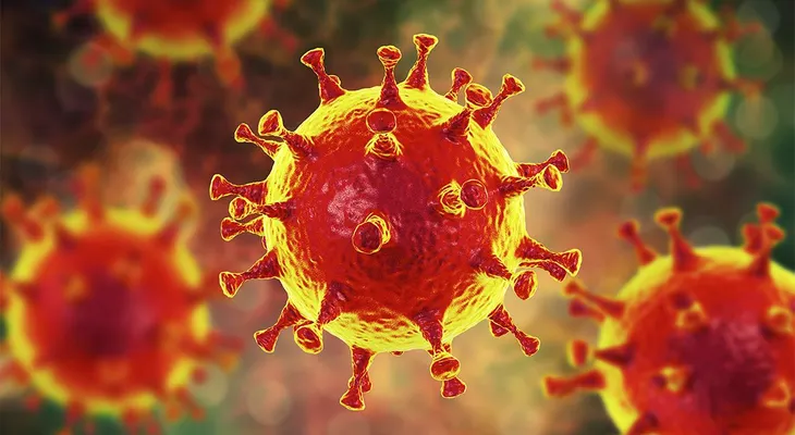 Supervivencia del coronavirus varía según humedad, temperatura y superficie