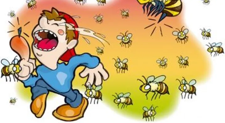 Un enjambre de abejas pica hasta la muerte a un joven senderista en EE.UU.