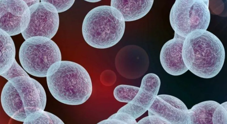 ¿Cuál es la diferencia entre la vaginosis bacteriana y la infección por levaduras?