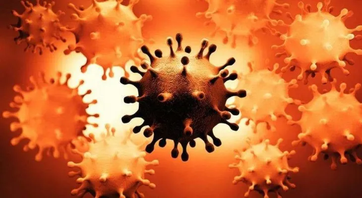 Nueva York confirma su primer caso de la variante surafricana de coronavirus