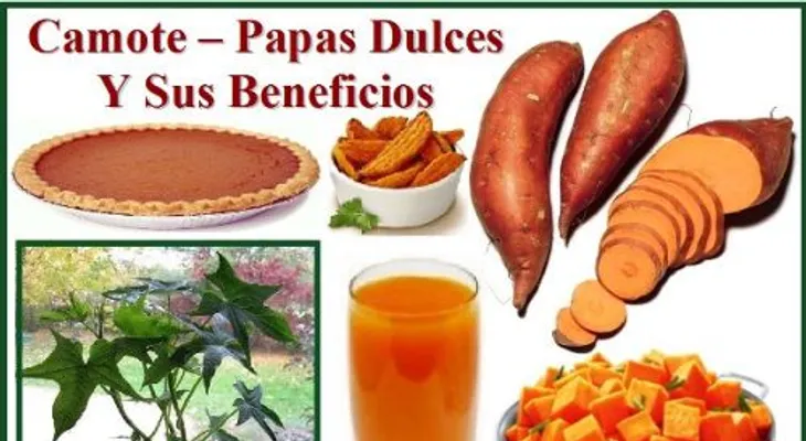 Las plantas curativas de DIOS