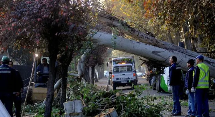 Cae árbol sobre dos casas en Santiago