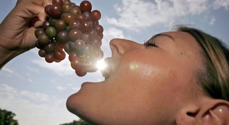 Vino: una copa al día es saludable si acompaña a la comida