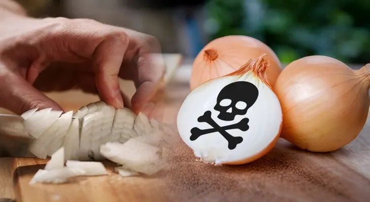 Si usa la cebolla otra vez, pone tu vida en peligro. Los restos recogen virus que son venenosos
