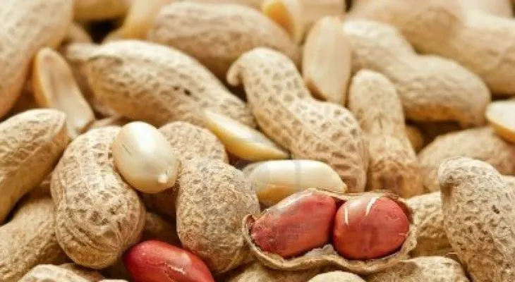 Comer maní durante el embarazo podría reducir el riesgo de alergias en los bebés