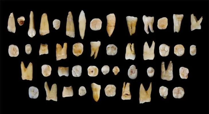 Nuevos fósiles demuestran que el Homo sapiens llegó a Asia hace 100.000 años